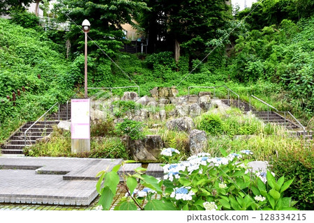 Yokohama City: Waterside, hydrangeas and information boards at Mitsuzawa Seseragi Greenway Yokohama City: Waterside, hydrangeas and information boards at Mitsuzawa Seseragi Greenway 128334215