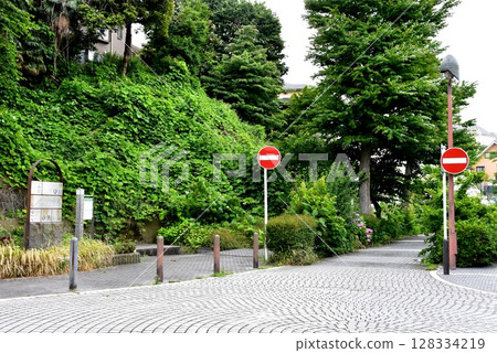 Yokohama City: Mitsuzawa Seseragi Greenway and the surrounding streets 128334219