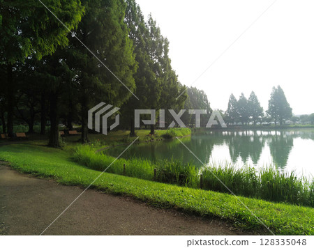 Quiet green lakeside park 128335048