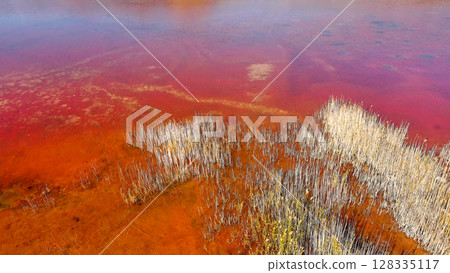 Red salt sea lake, at winter, village Alyki, Boeotia, Greece. 128335117