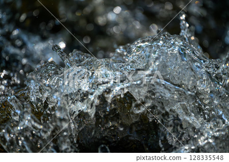 Splashing (Sakushukotoni River on the Hokkaido University campus)_0968 128335548