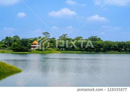 台灣嘉義市 - 2025 年 6 月 29 日：寧水的清晨，蘭潭水庫的波浪和茂密的樹林。 128335877