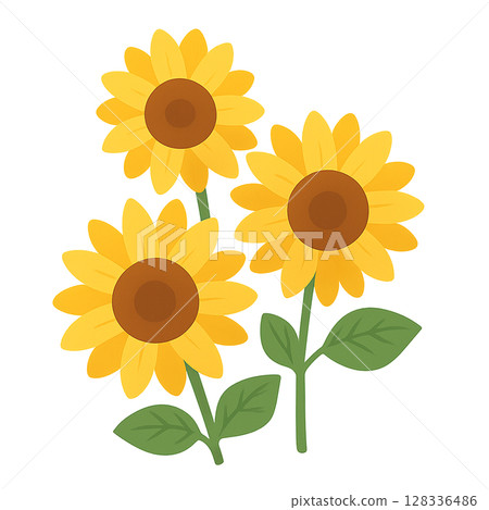 Transparent Sunflower Trio 128336486