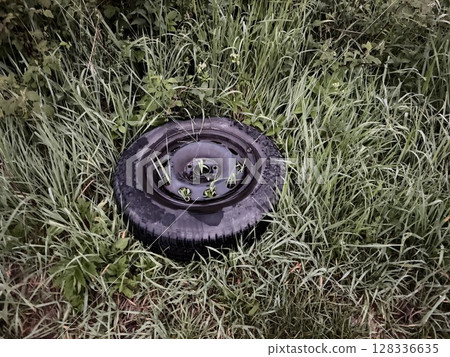 Tire is sitting in the grass with some plants growing out of it Tire is sitting in the grass with some plants growing out of it 128336635