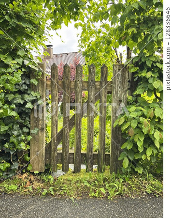 Wooden gate with ivy growing on it Wooden gate with ivy growing on it 128336646