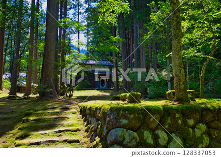 An old house and garden surrounded by fresh greenery and silence An old house and garden surrounded by fresh greenery and silence 128337053