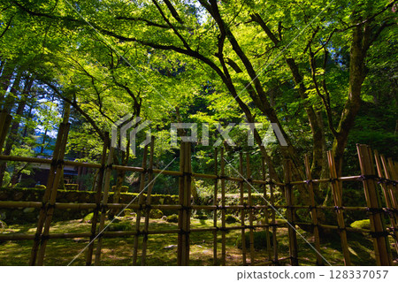 An old house and garden surrounded by fresh greenery and silence An old house and garden surrounded by fresh greenery and silence 128337057