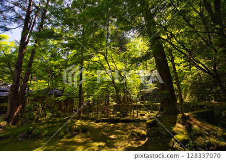 An old house and garden surrounded by fresh greenery and silence 128337070