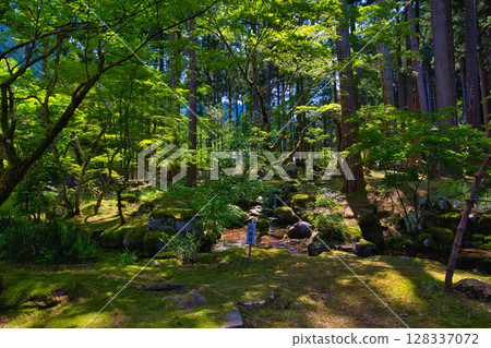 An old house and garden surrounded by fresh greenery and silence An old house and garden surrounded by fresh greenery and silence 128337072
