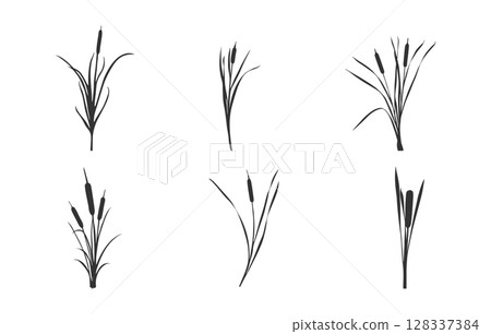 Cattail svg, Cattail silhouette, Cattail plant silhouette, Reeds and cattail silhouette, Cattail plant svg, Cattail vector set. Cattail svg, Cattail silhouette, Cattail plant silhouette, Reeds and cattail silhouette, Cattail plant svg, Cattail vector set. 128337384