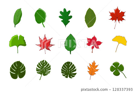 Leaf vector illustration, leaves vector illustration, Leaf vector, Leaf vector svg, leaf illustration, Fall leaf vector, Leaf svg. 128337393