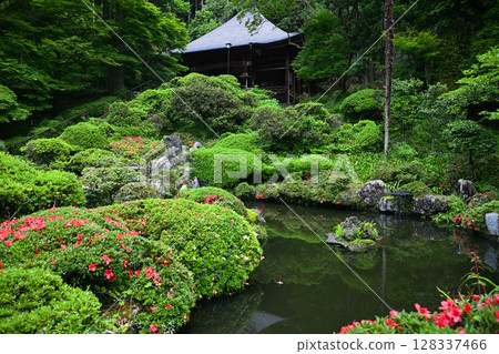 View of the main hall of Hounji Temple from the garden pond View of the main hall of Hounji Temple from the garden pond 128337466