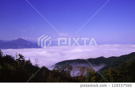 Mount Buko floating in the sea of clouds 128337560