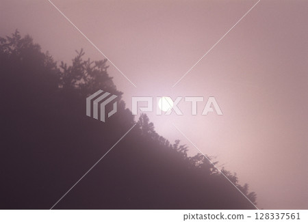 The sun appears in a deep misty forest 128337561