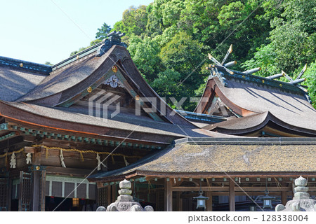 View of the main hall and worship hall of Mihotsuhime Shrine in Kotohira-gu Shrine, Kagawa Prefecture - 1 128338004
