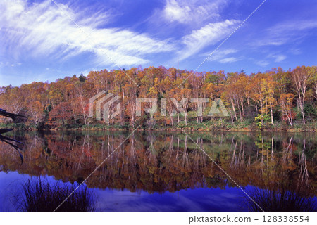 Nagaike Pond in Shiga Kogen reflecting the autumn foliage of the forest Nagaike Pond in Shiga Kogen reflecting the autumn foliage of the forest 128338554