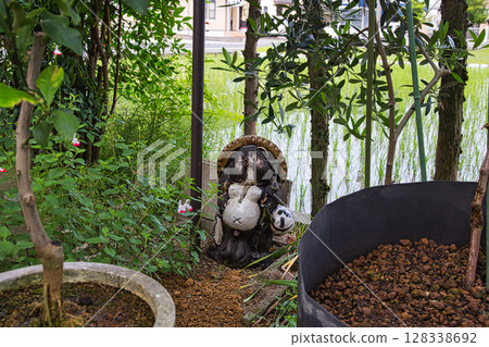 我可愛的仙人掌花園 128338692