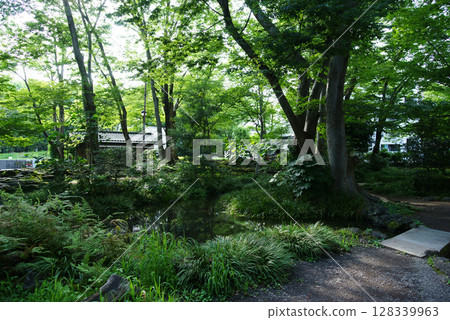 三島市白rat公園 128339963