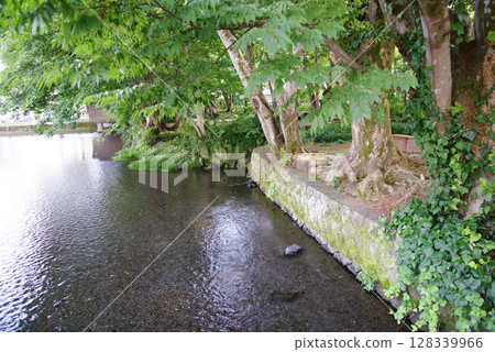 三島市白rat公園 三島市白rat公園 128339966