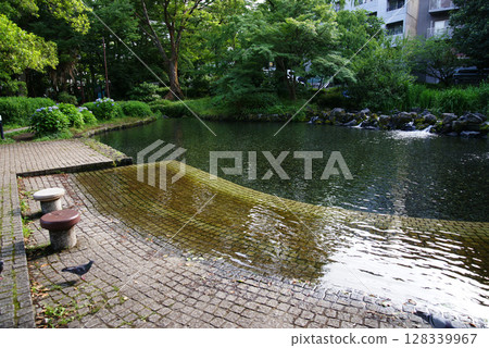 三島市白rat公園 128339967