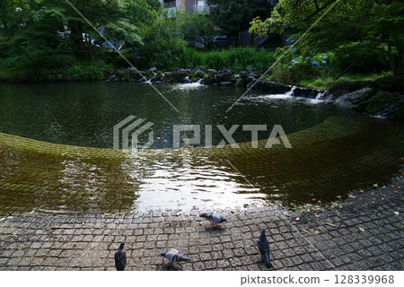 三島市白rat公園 128339968