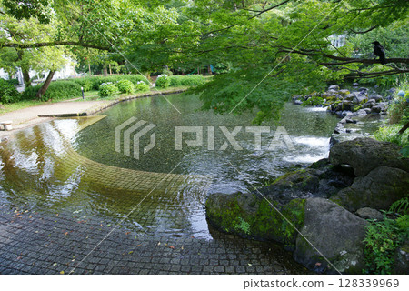 三島市白rat公園 128339969
