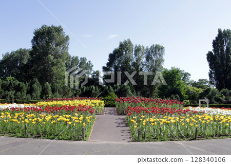 札幌花卉名勝湯原原公園花卉公園 札幌花卉名勝湯原原公園花卉公園 128340106