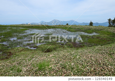 Hiragatake, mountain climbing, Niigata Prefecture Hiragatake, mountain climbing, Niigata Prefecture 128340149