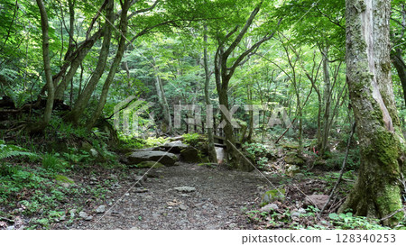 Yonago Waterfall Trailhead Yonago Waterfall Trailhead 128340253