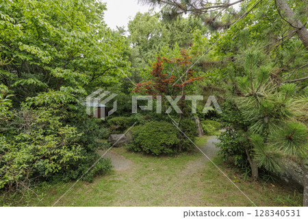 Summer at Hayama Shiosai Park 128340531