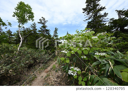 新潟縣平岳登山 128340705