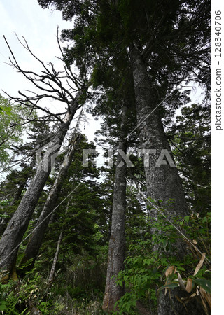 Hiragatake, mountain climbing, Niigata Prefecture 128340706