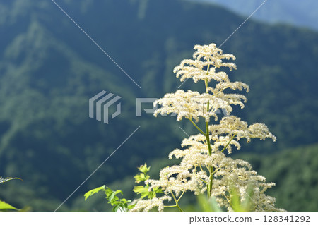 Mount Amakasari, mountain climbing, Niigata Prefecture Mount Amakasari, mountain climbing, Niigata Prefecture 128341292