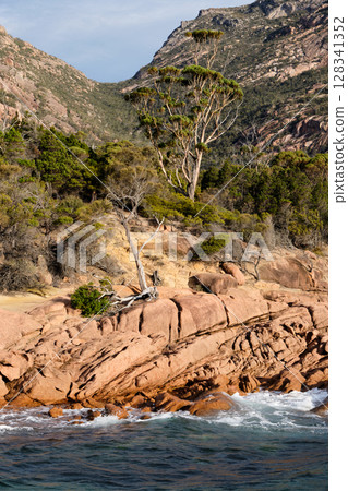 Against all odds - Coles Bay 128341352