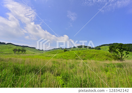 新鮮的綠色Akira山高原 新鮮的綠色Akira山高原 128342142