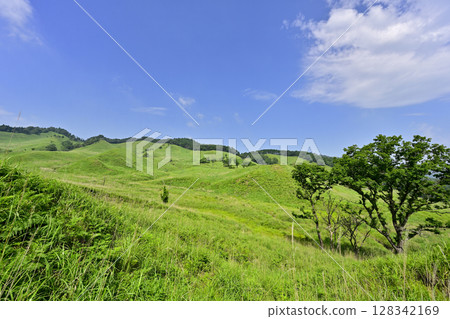 新鮮的綠色Akira山高原 128342169