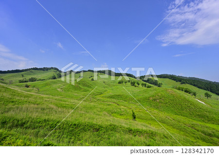 新鮮的綠色Akira山高原 新鮮的綠色Akira山高原 128342170