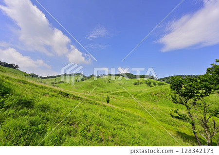 Akira mountain plateau of fresh green 128342173