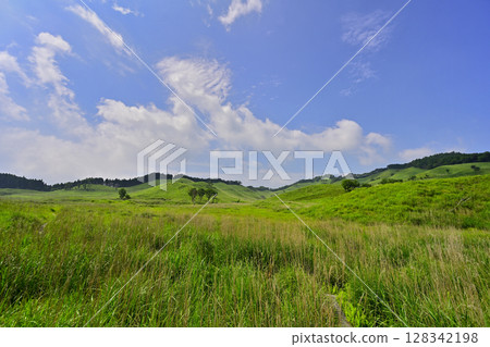 砥峰高原的新綠 砥峰高原的新綠 128342198