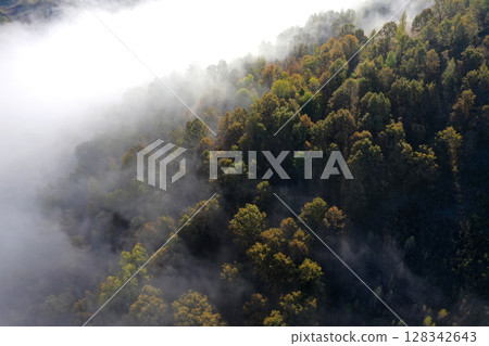 Aerial top down view of autumn misty forest canopy Aerial top down view of autumn misty forest canopy 128342643