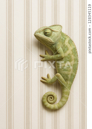 The chameleon blends perfectly with the striped background. The chameleon blends perfectly with the striped background. 128345119