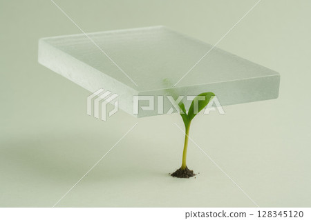 A sprouted sprout that broke through a glass slab. A sprouted sprout that broke through a glass slab. 128345120