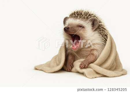 The yawning hedgehog wrapped himself comfortably in a warm blanket. Space for text. The yawning hedgehog wrapped himself comfortably in a warm blanket. Space for text. 128345205