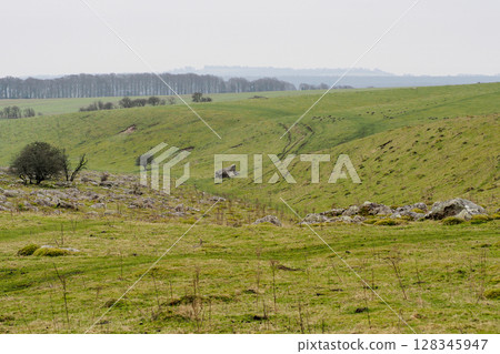 Fyfield Down with the best collection of sarsen stones in Britain, Wiltshire 128345947