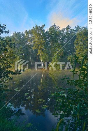 Lake in the woods with reflection 128346920