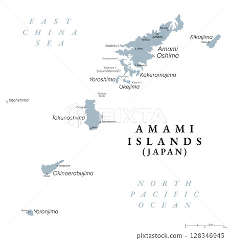 Amami Islands, island group of Japan, gray political map. Japanese archipelago in the Satsunan Islands, which is part of the Ryukyu Islands, and belonging to the Kagoshima Prefecture. Illustration Amami Islands, island group of Japan, gray political map. Japanese archipelago in the Satsunan Islands, which is part of the Ryukyu Islands, and belonging to the Kagoshima Prefecture. Illustration 128346945