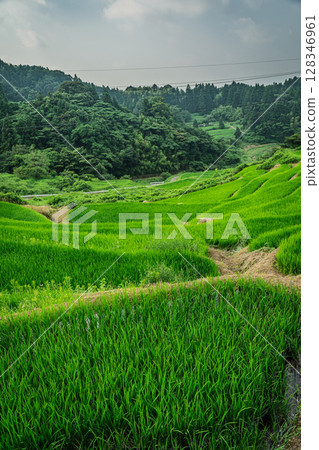 島根縣濱田市屋的梯田 128346961