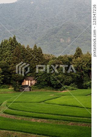 Ueyama Rice Terraces, Kami Town, Hyogo Prefecture Ueyama Rice Terraces, Kami Town, Hyogo Prefecture 128347216