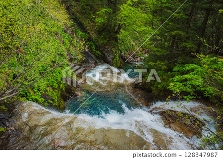 The rapids of the Oono River downstream of Sanbontaki Falls [Norikura Plateau] 128347987