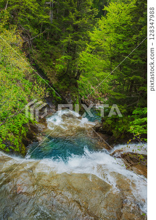 The rapids of the Oono River downstream of Sanbontaki Falls [Norikura Plateau] 128347988